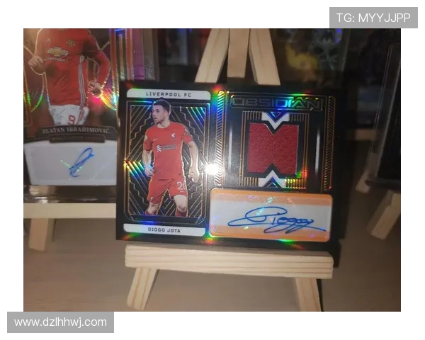 篮球球星卡与足球球星卡的差异与相似之处分析