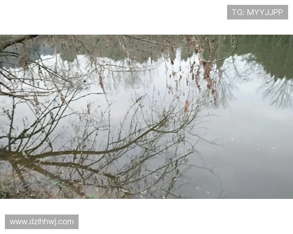 足球巨星帅照与生活瞬间全纪录 展现场上场下多彩人生